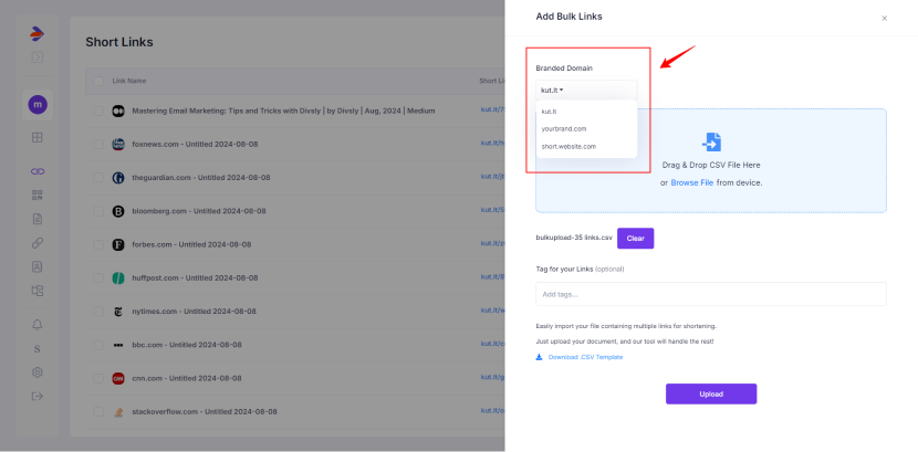 custom domain for bulk upload